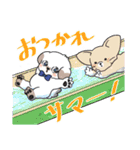 ぷくりいぬ SUMMERスタンプ（個別スタンプ：24）