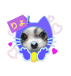 coco＆nuts3（個別スタンプ：2）