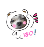 coco＆nuts3（個別スタンプ：3）