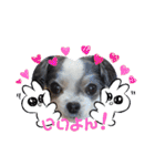 coco＆nuts3（個別スタンプ：4）