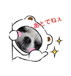 coco＆nuts3（個別スタンプ：6）