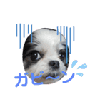 coco＆nuts3（個別スタンプ：12）