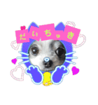 coco＆nuts3（個別スタンプ：13）