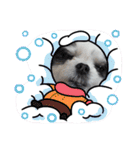 coco＆nuts3（個別スタンプ：14）