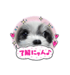coco＆nuts3（個別スタンプ：15）