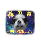 coco＆nuts3（個別スタンプ：17）