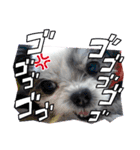 coco＆nuts3（個別スタンプ：23）