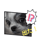 coco＆nuts3（個別スタンプ：25）