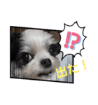 coco＆nuts3（個別スタンプ：26）