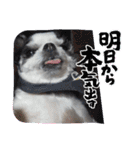 coco＆nuts3（個別スタンプ：28）