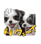 coco＆nuts3（個別スタンプ：38）