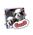 coco＆nuts3（個別スタンプ：40）