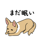 ふつうのチワワ（個別スタンプ：14）