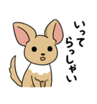 ふつうのチワワ（個別スタンプ：16）