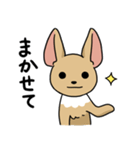 ふつうのチワワ（個別スタンプ：21）