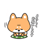 毎日使える癒しの柴犬（個別スタンプ：5）