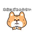 毎日使える癒しの柴犬（個別スタンプ：12）