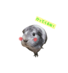まってたよ、もるちゃん❤（個別スタンプ：3）