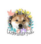 柴犬・銀ちゃん ②（個別スタンプ：31）