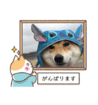 柴犬・銀ちゃん ②（個別スタンプ：32）