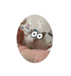 ちゃろすううう（個別スタンプ：5）