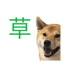 おさぬ（個別スタンプ：1）