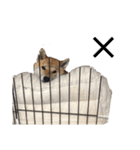 おさぬ（個別スタンプ：2）