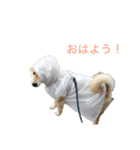 おさぬ（個別スタンプ：6）