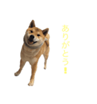 おさぬ（個別スタンプ：8）