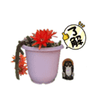 植物スタンプ☆（個別スタンプ：6）