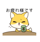 低姿勢な狐、今野（個別スタンプ：21）