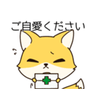 低姿勢な狐、今野（個別スタンプ：25）