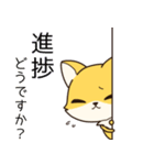 低姿勢な狐、今野（個別スタンプ：26）