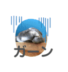 #カッコ良いうさぎBéBé（個別スタンプ：4）