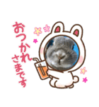 #カッコ良いうさぎBéBé（個別スタンプ：7）