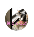 #カッコ良いうさぎBéBé（個別スタンプ：9）