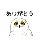 フクロウさんは動かない（個別スタンプ：2）