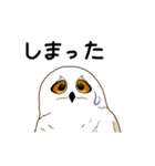 フクロウさんは動かない（個別スタンプ：5）