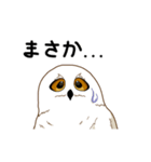 フクロウさんは動かない（個別スタンプ：6）