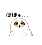 フクロウさんは動かない（個別スタンプ：7）