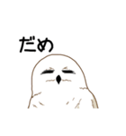 フクロウさんは動かない（個別スタンプ：20）