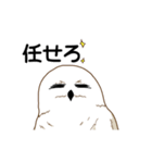 フクロウさんは動かない（個別スタンプ：22）