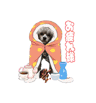 蘭ちゃん トイプー（個別スタンプ：27）
