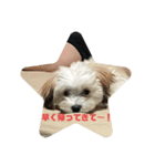まよじゃむ。。（個別スタンプ：6）