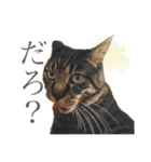 おれっちと、おめっち（個別スタンプ：2）