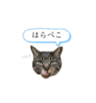 おれっちと、おめっち（個別スタンプ：10）
