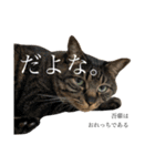 おれっちと、おめっち（個別スタンプ：14）