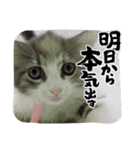 おれっちと、おめっち（個別スタンプ：31）