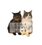 おれっちと、おめっち（個別スタンプ：35）