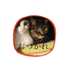 おれっちと、おめっち（個別スタンプ：36）